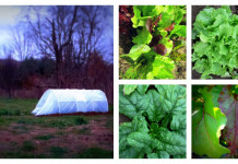 DIY low tunnel: a way to extend growing season