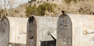 Remember your FSA election ballot