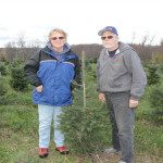 Moore's Tree Farm
