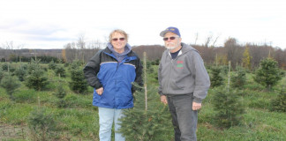 Moore's Tree Farm