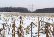 January grain reports both good and bad Corn snow