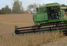 MLK weekend, USDA reports help grain markets harvesting soybeans