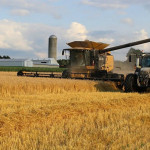 Say thanks to a farmer today wheat harvest