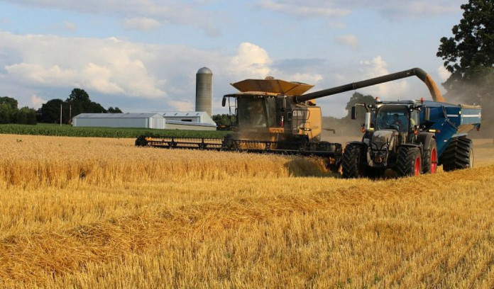 wheat harvest