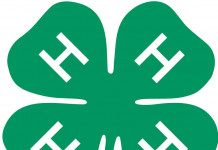 Roundup of 4-H news for Dec. 8, 2016