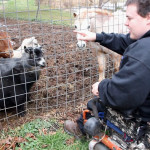 Austin Yaworsky goat