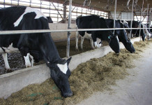 Are you ready for the Veterinary Feed Directive? VFD