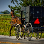 Northeast Ohio Amish woman killed after truck hits buggy