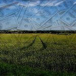 Build a fear-free farm budget for the New Year