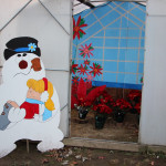 hershey lights frosty