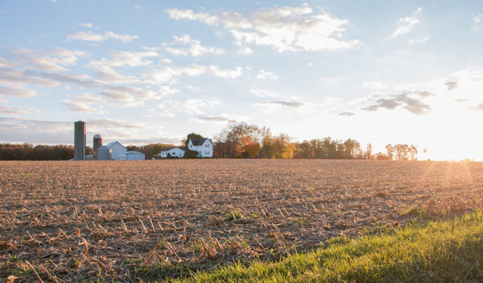 Farmland