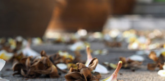 Ask FSA Andy about losing a spouse