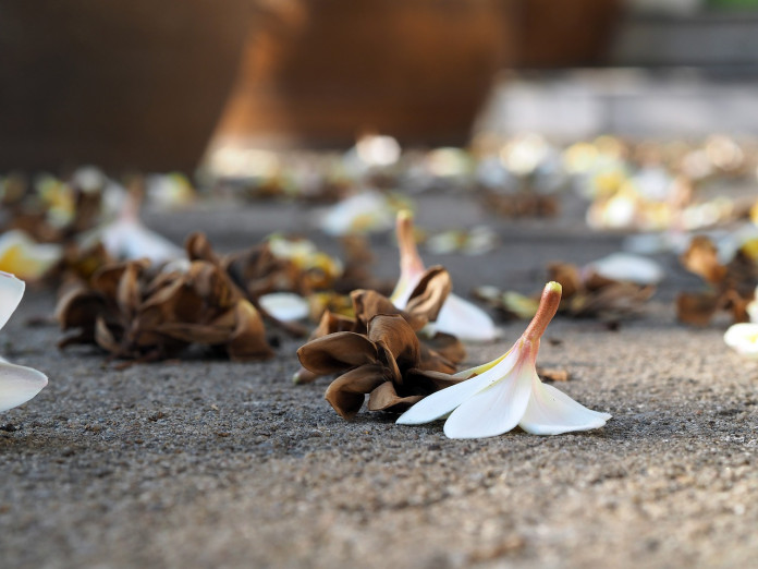 more-information-1174134_1280