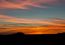 Retiring FSA staffer reflects on years of change