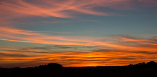 Retiring FSA staffer reflects on years of change