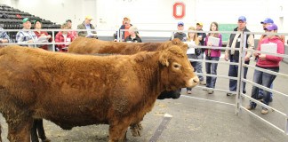 BEEF 509 educational program returns