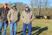 Vollborn family builds a respectable cattle herd Vollborn brothers
