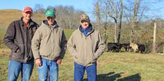 Vollborn family builds a respectable cattle herd Vollborn brothers