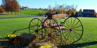 Buckboard restoration