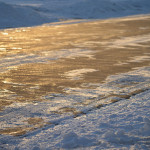 Landscape plants and deicing salts