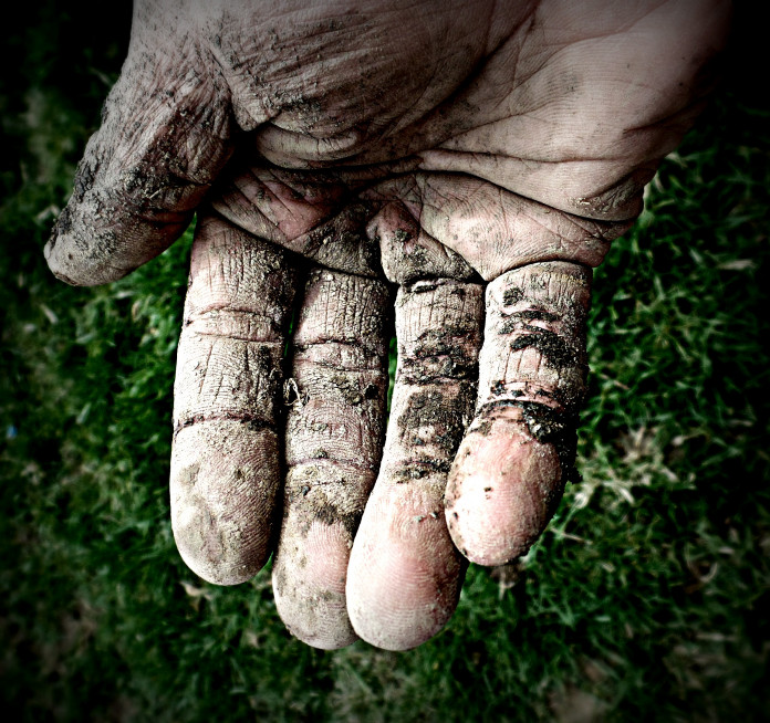 SAMSUNG CAMERA PICTURES