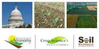 soil science logos