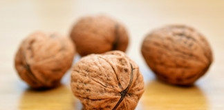 Nut growers’ workshop set