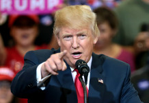 Business climate shifts with Trump’s return Donald J. Trump