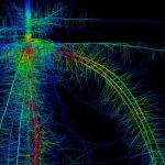 Researchers trying to develop deeper crop roots