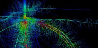 Researchers trying to develop deeper crop roots