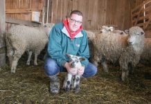 Blake Campbell’s FFA experiences inspire him to teach Ag Blake Campbell and lamb