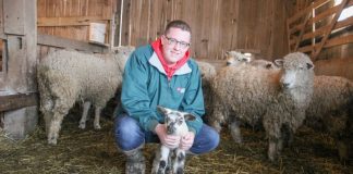 Blake Campbell and lamb