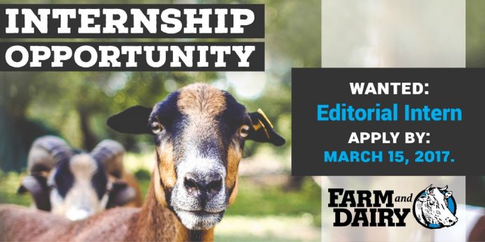 Internship Farm and Dairy internship