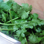 cilantro-348291_1280