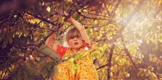 Climbing trees took courage, but the payoff was rewarding