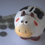 Ashtabula County offers multiple scholarships piggy bank
