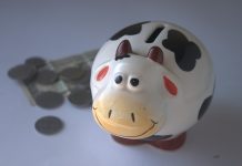 How to buy time to catch up on farm debt piggy bank