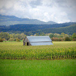 5 tips to recognize and deal with farm stress
