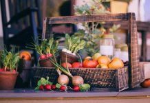 How to plan your vegetable garden