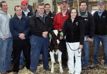 Ohio calf brings $32,000 at Holstein sale Holstein brings $32,000 at sale