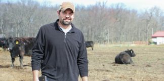 JL Draganic with cattle