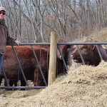 Miller pose with bulls