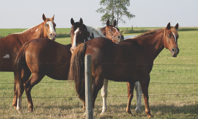 Screen Shot 2017-03-08 at 2.18.29 PM