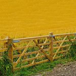 Pa. farmers travel to D.C. to discuss ag issues