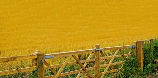 Pa. farmers travel to D.C. to discuss ag issues