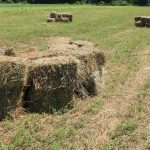 Managing weeds and alfalfa