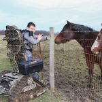 austin update horses