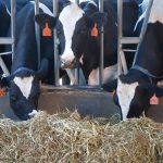 Optimistic for a profitable year, with more technology