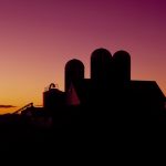 Chores on the farm bring solace