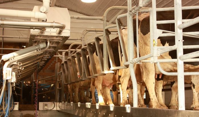 Dairy milking parlor/Farm and Dairy file photo